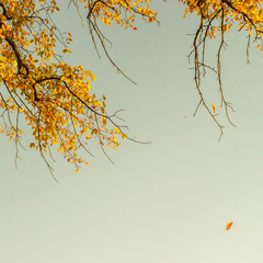 What does It mean to be “Christ centered”?