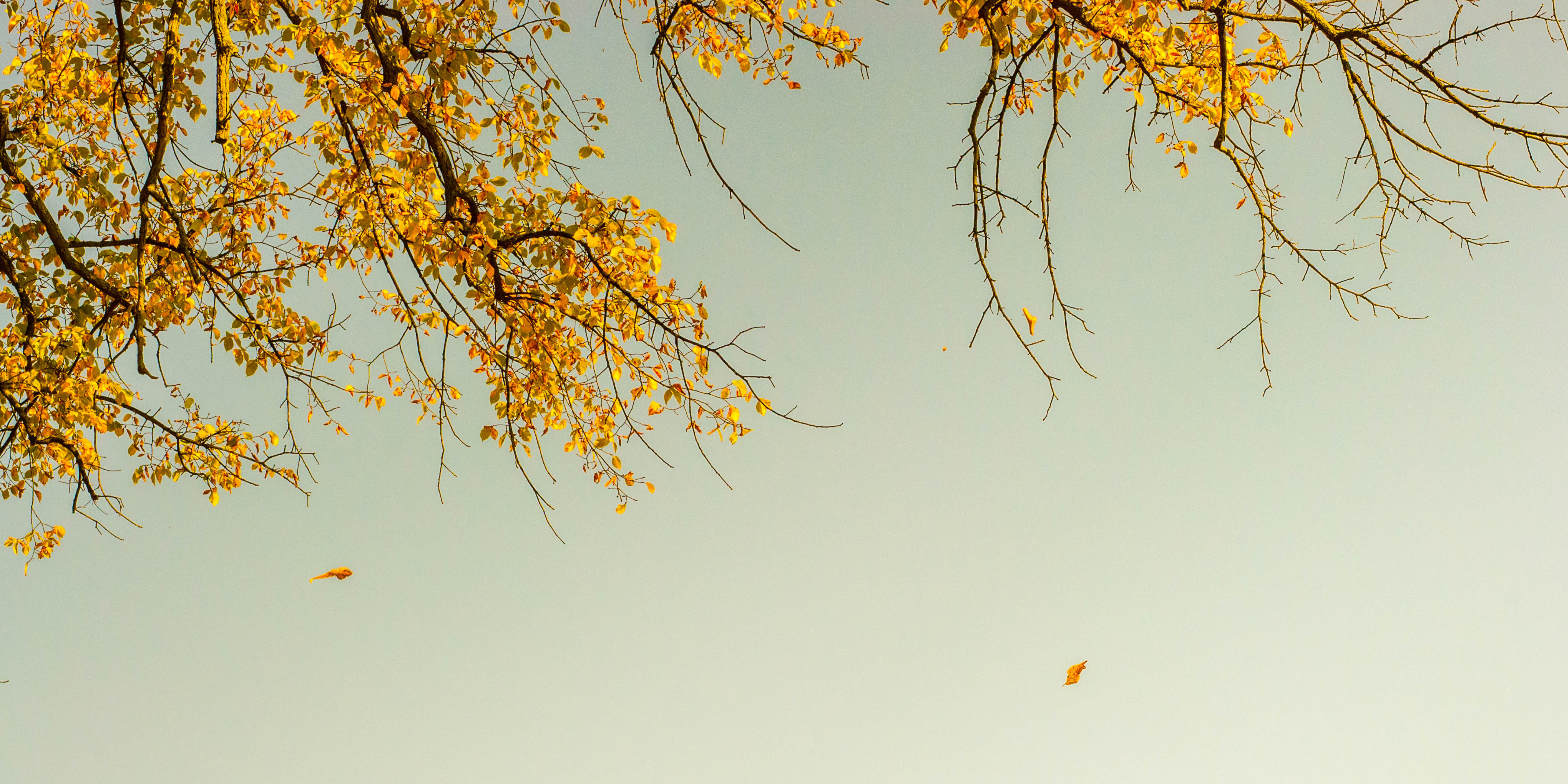 What does It mean to be “Christ centered”?