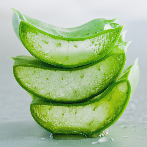 Skin Barrier Support