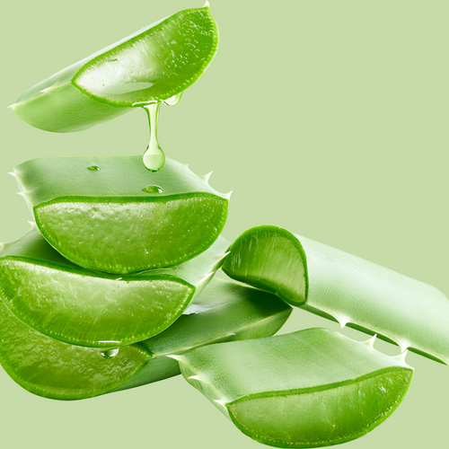 No Preservatives Needed