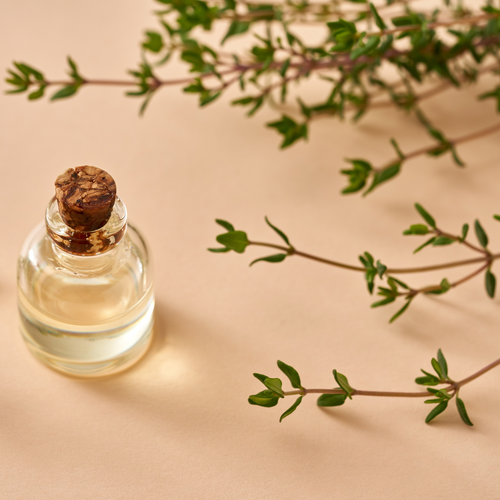 Thyme