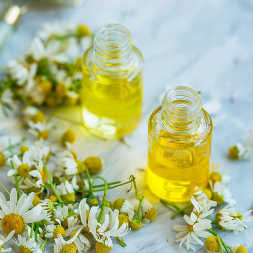 Chamomile