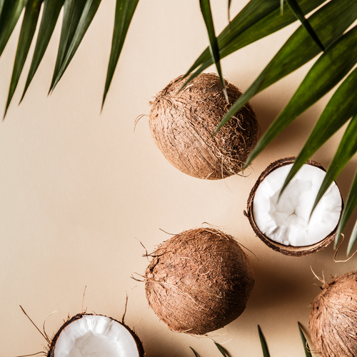 Fractionated Coconut Oil