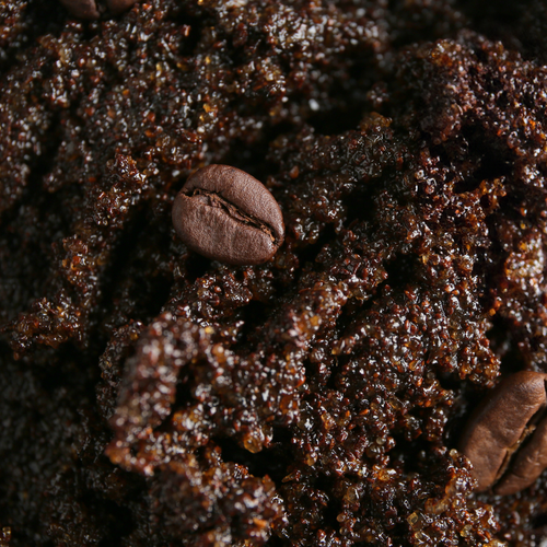 Coffee Seed Oil