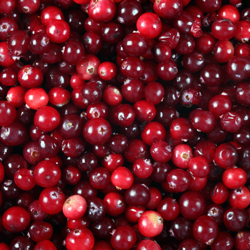 Cranberry Oil