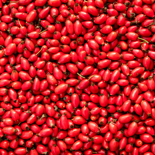 Rose Hip Oil